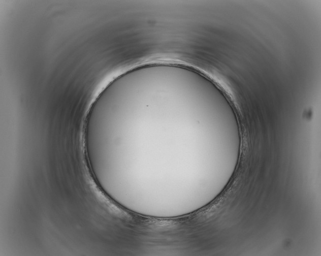 X0000090931382200707301106