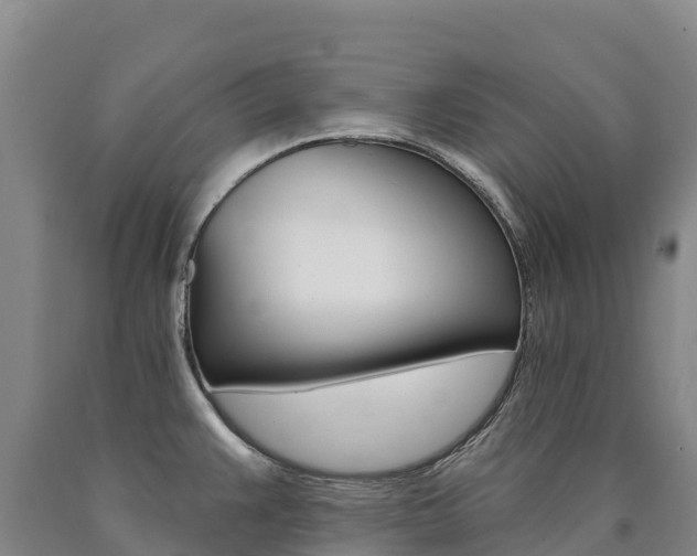 X0000090931383200707301106