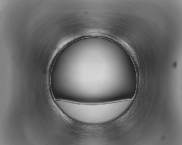 X0000090931384200707301106