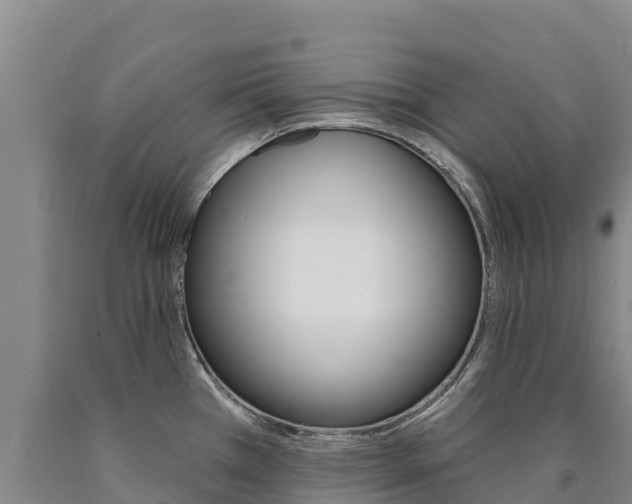X0000090931385200707301106