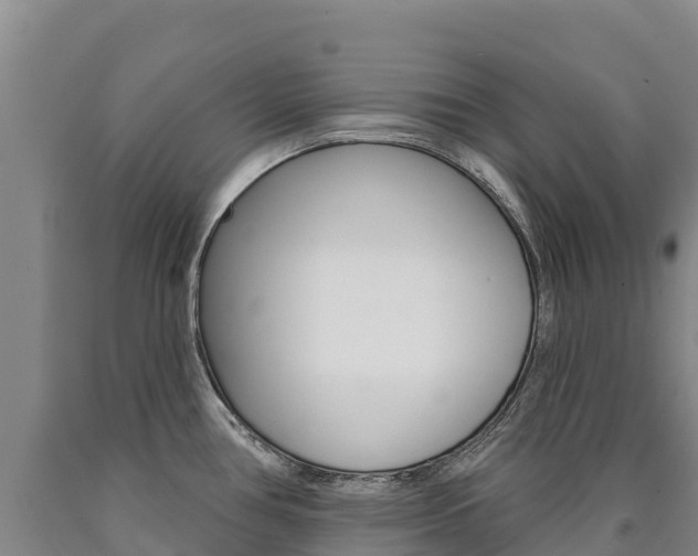 X0000090931386200707301106