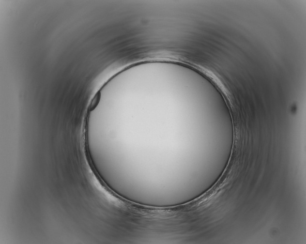 X0000090931387200707301106