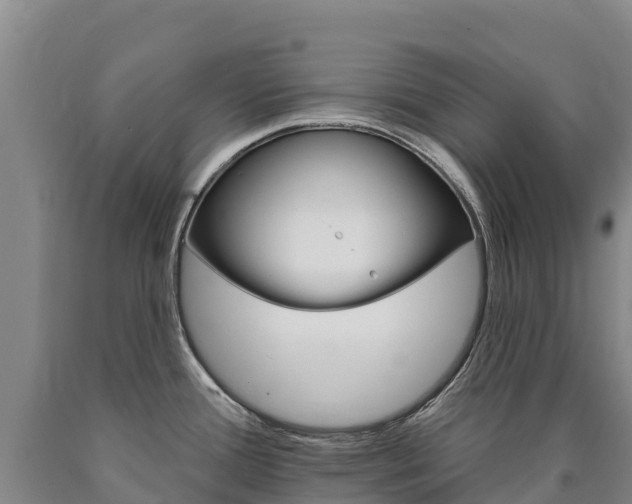 X0000090931388200707301106