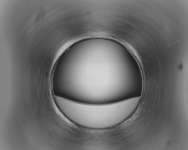 X0000090931389200707301106