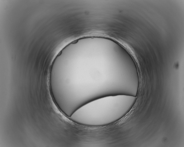 X0000090931390200707301106