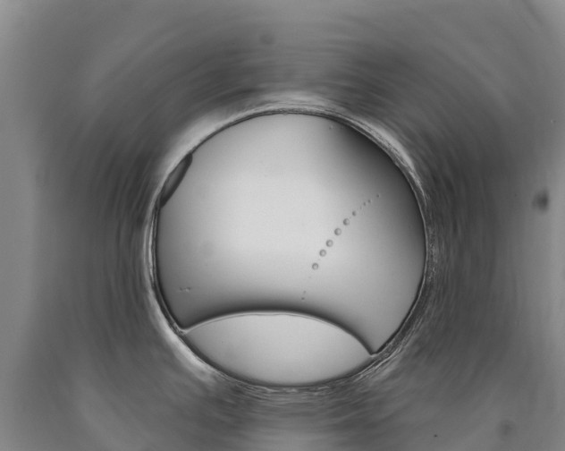 X0000090931391200707301106