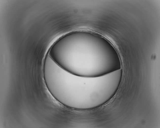 X0000090931392200707301106