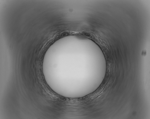 X0000090931393200707301105