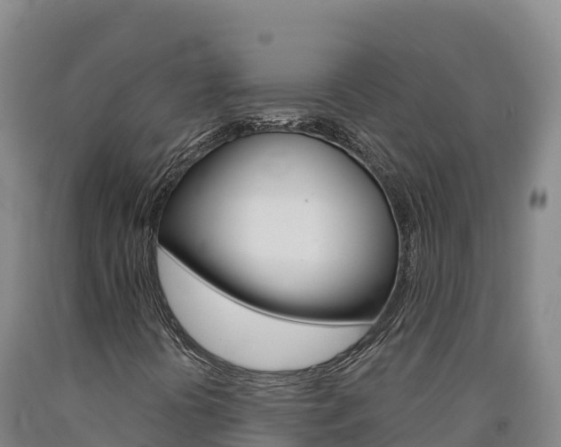X0000090931394200707301105