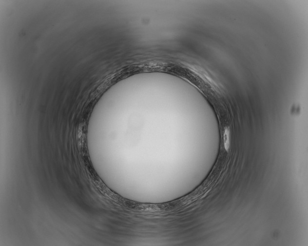 X0000090931395200707301105