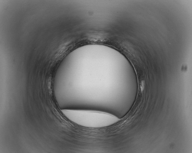 X0000090931396200707301105