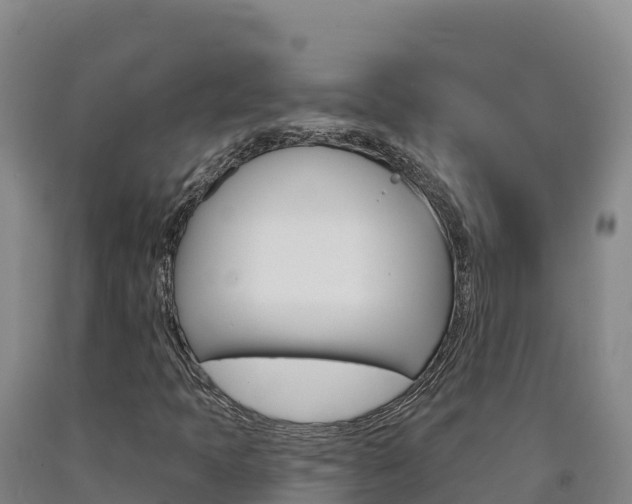 X0000090931397200707301105