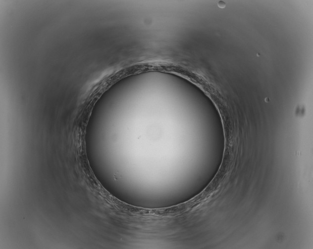 X0000090931398200707301105