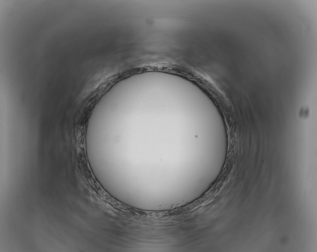 X0000090931399200707301105