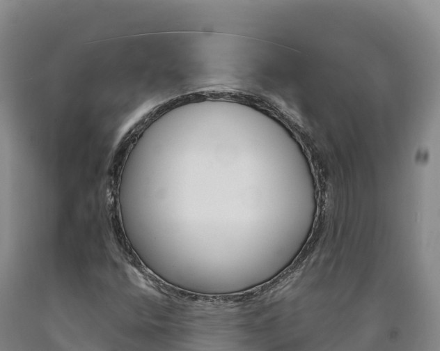 X0000090931400200707301105