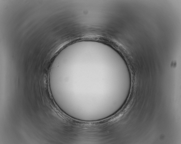 X0000090931401200707301105