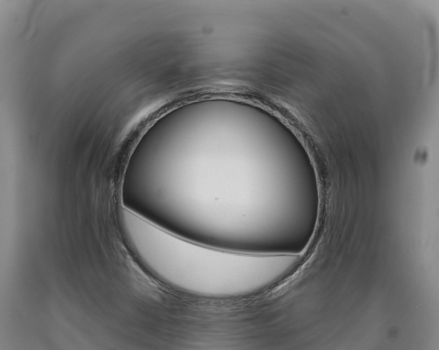 X0000090931402200707301105