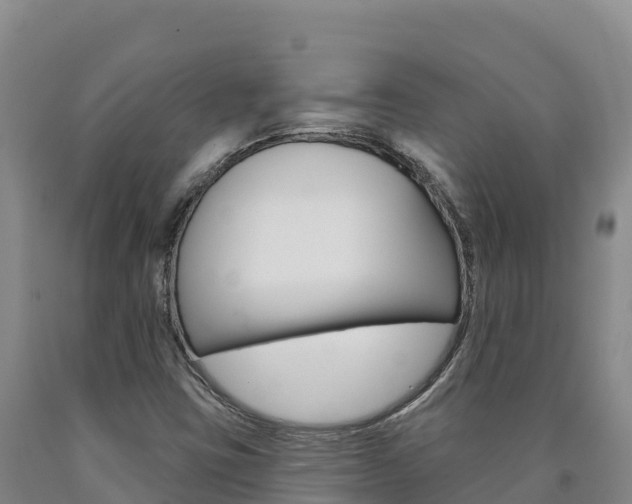 X0000090931403200707301105