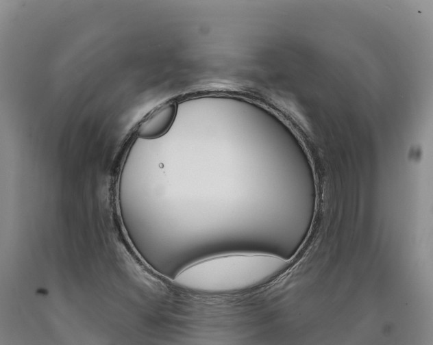 X0000090931404200707301105