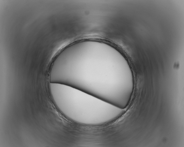X0000090931405200707301105