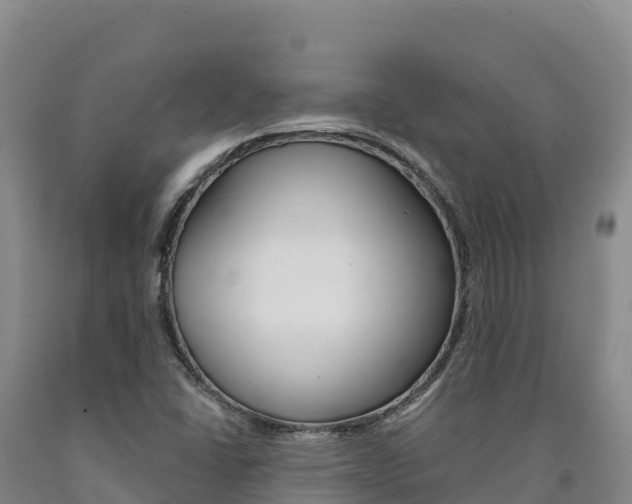 X0000090931406200707301105