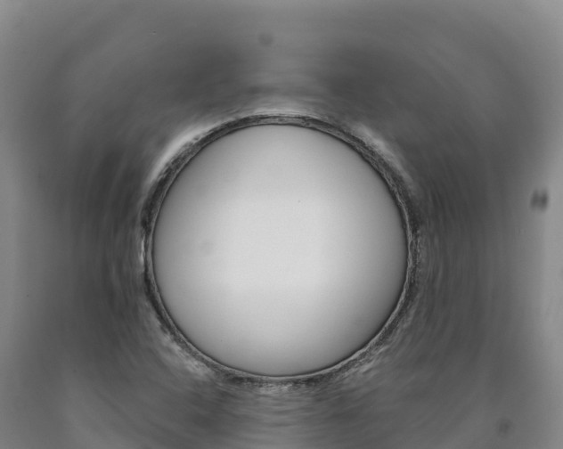 X0000090931408200707301105