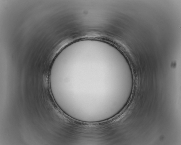 X0000090931409200707301105