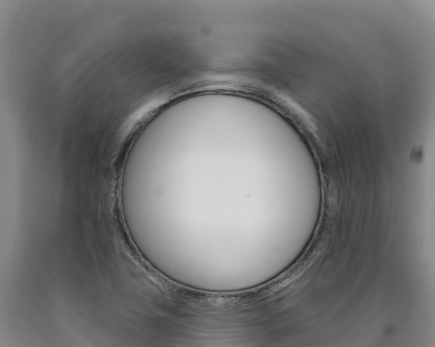 X0000090931411200707301105