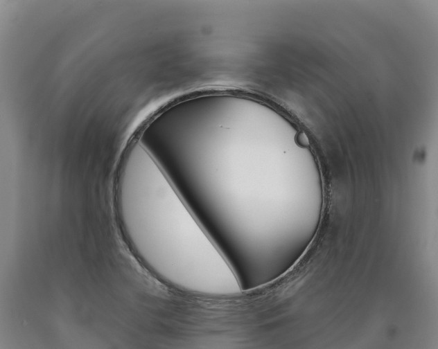 X0000090931412200707301105