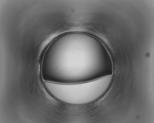 X0000090931414200707301105