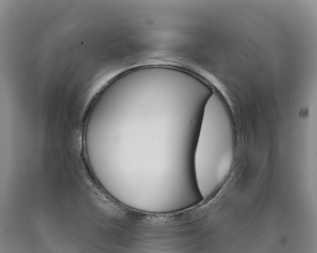 X0000090931415200707301105