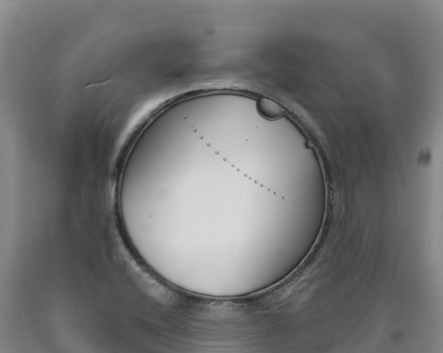 X0000090931416200707301105