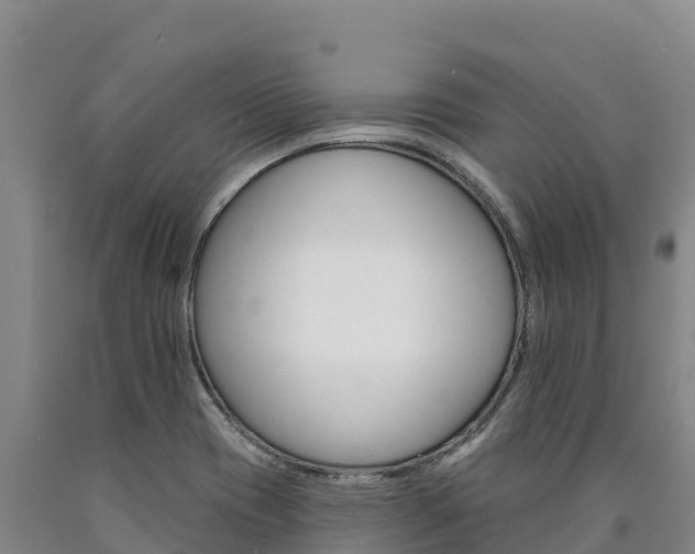 X0000090931417200707301105