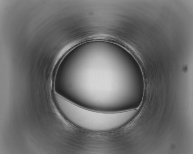 X0000090931418200707301105