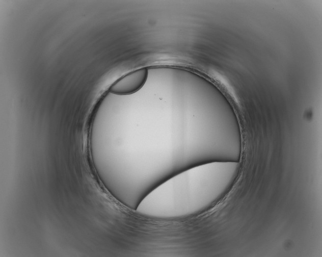 X0000090931419200707301105