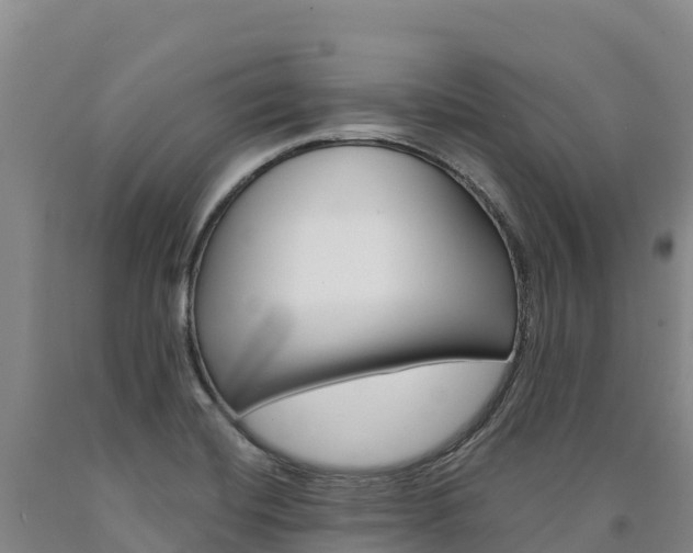 X0000090931420200707301105
