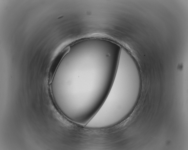 X0000090931422200707301105