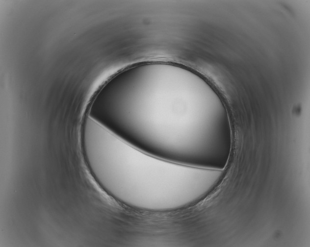 X0000090931424200707301105