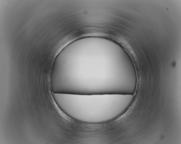 X0000090931425200707301105