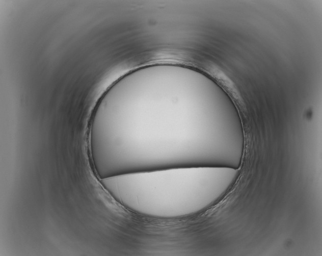 X0000090931427200707301105