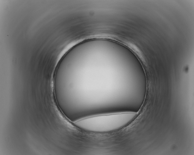 X0000090931428200707301105