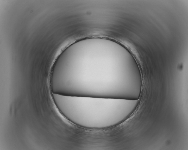 X0000090931429200707301105