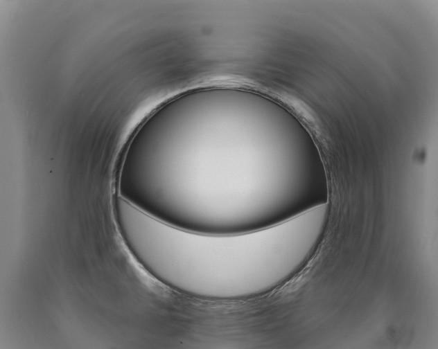 X0000090931430200707301105