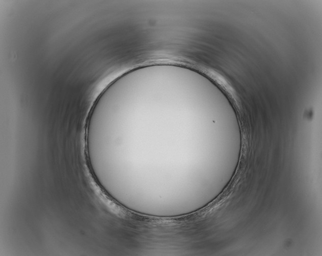 X0000090931431200707301105