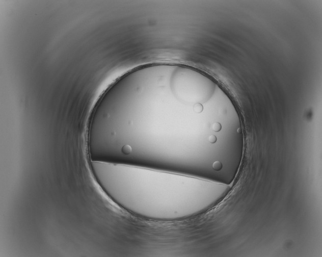 X0000090931432200707301105