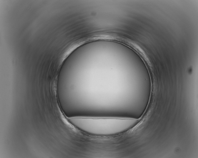 X0000090931433200707301105