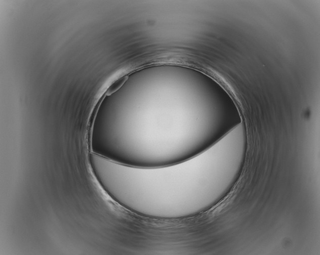 X0000090931434200707301105