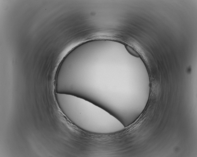 X0000090931435200707301105