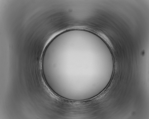 X0000090931436200707301105