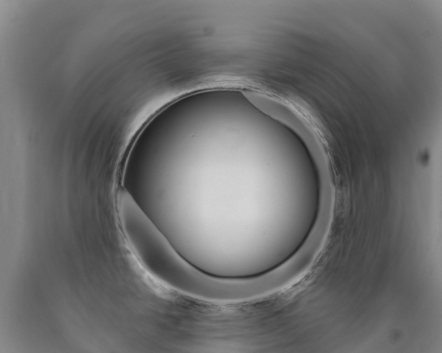 X0000090931438200707301105